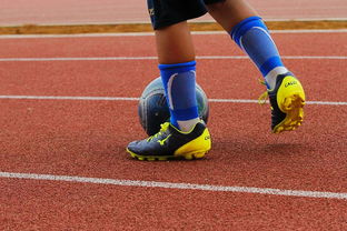 爱游戏登录入口-智能体育装备在运动技能训练中的应用，智能化体育器材